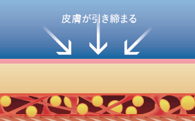 皮膚が引き締まる