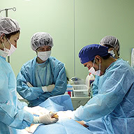 技術セミナーを開催しております