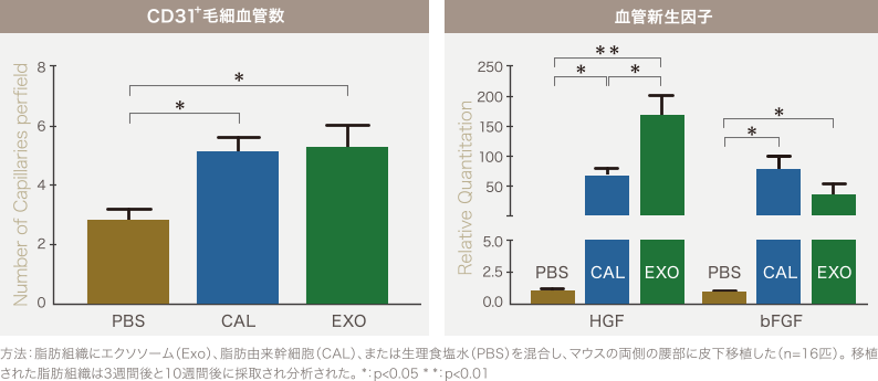 CD31＋毛細血管数 ／ 血管新生因子
