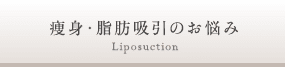 脂肪吸引・痩身のお悩み