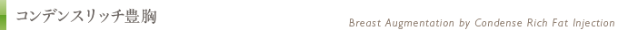 コンデンスリッチ豊胸