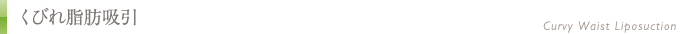くびれ脂肪吸引