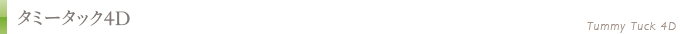 タミータック4D(お腹のたるみ解消)