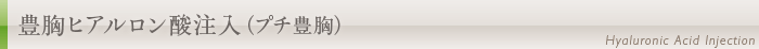 豊胸ヒアルロン酸注入(プチ豊胸)について