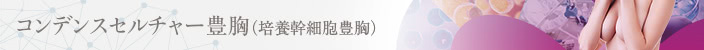 コンデンスセルチャー豊胸(培養幹細胞豊胸)