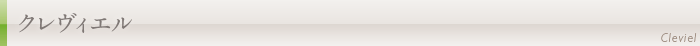 クレヴィエル(鼻・顎のヒアルロン酸注入)について