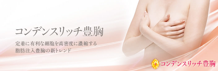 コンデンスリッチ豊胸の概要