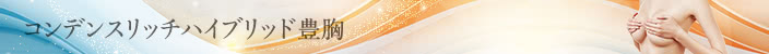 コンデンスリッチハイブリッド豊胸モニターの概要