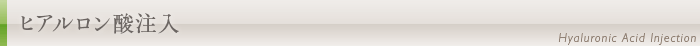 ヒアルロン酸注入について