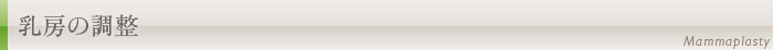 乳房の調整