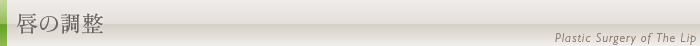 唇の調整