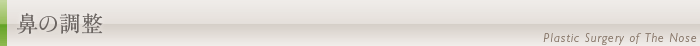 鼻の調整
