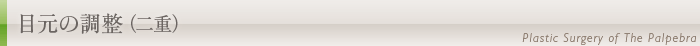 目元の調整(二重)