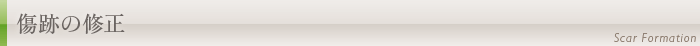 傷跡(傷痕)の修正