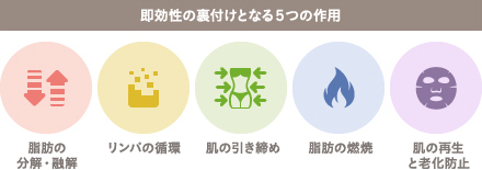 BNLS Ultimate 注射の施術5