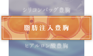 ハイブリッド豊胸