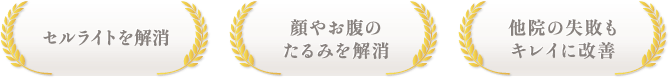 セルライトを解消 / 顔やお腹のたるみを解消 / 他院の失敗もキレイに改善