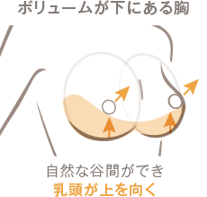 ボリュームが下にある胸