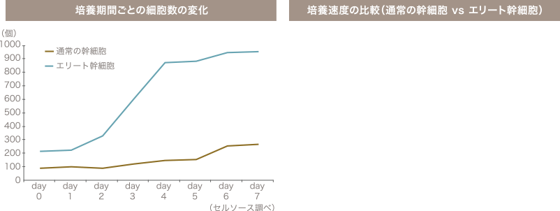 培養期間ごとの細胞数の変化 ／ 培養速度の比較（通常の幹細胞 vs エリート幹細胞）