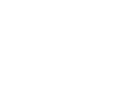 無駄のないフォルム、しなやかなラインは人々を魅了する