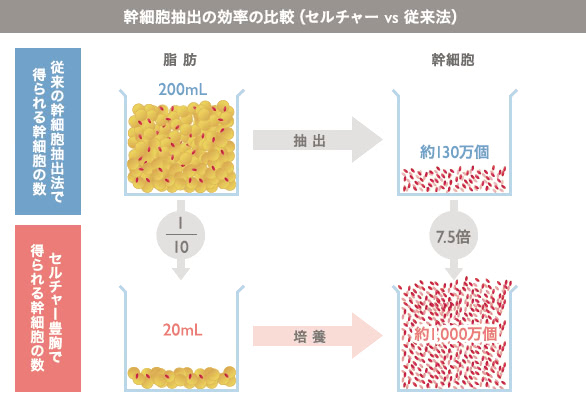 幹細胞抽出の効率の比較