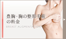 豊胸