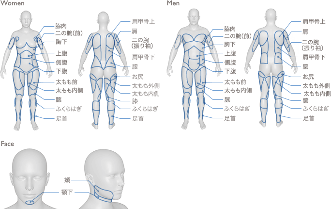 部位