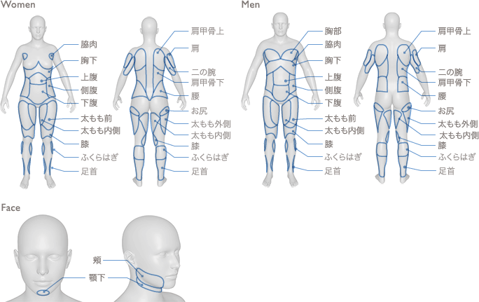 部位