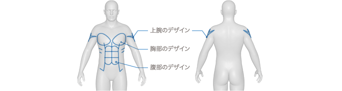 部位