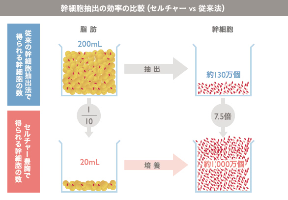 幹細胞抽出の効率の比較
