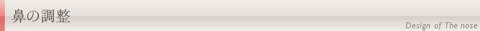 鼻の調整