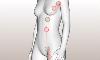 副乳は胎児期に退化するはずの乳房が残って発育したもので、脇の下〜乳房〜足の付け根までのライン上にあります。