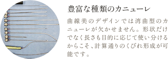 豊富な種類のカニューレ | 曲線美のデザインでは湾曲型のカニューレが欠かせません。形状だけでなく長さも目的に応じて使い分けるからこそ、計算通りのくびれ形成が可能です。