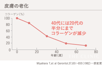 皮膚の老化：40代には20代の半分にまでコラーゲンが減少します