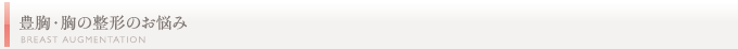 豊胸・胸の整形のお悩み