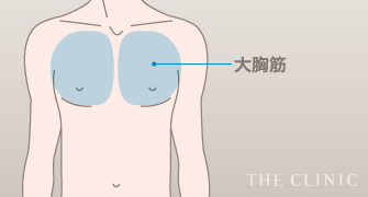 大胸筋