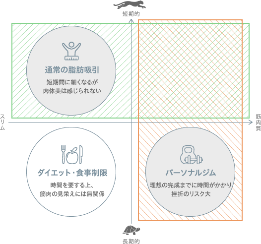 脂肪吸引マッピング