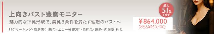 上向きバスト豊胸 パーツモニター