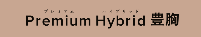 Premium Hybrid 豊胸