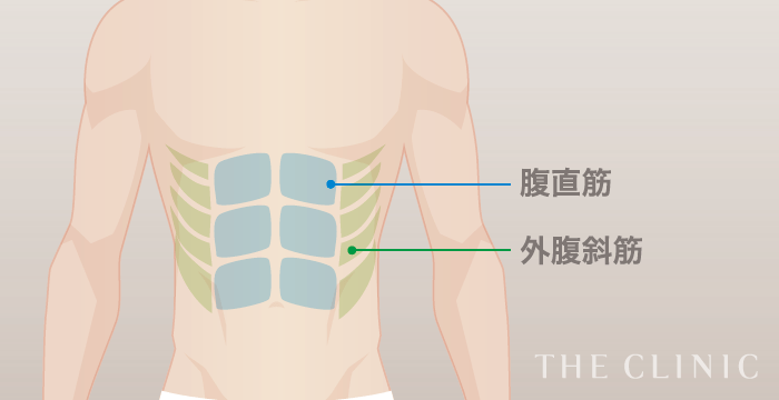 Ftmの胸オペ ボディデザイン The Clinic ザクリニック 公式