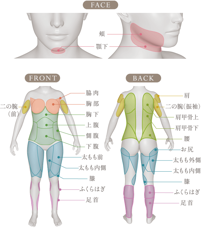 脂肪吸引｜美容外科のTHE CLINIC