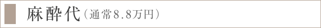 麻酔代（通常8.8万円）
