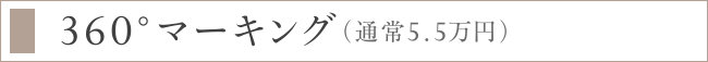 360°マーキング（通常5.5万円）