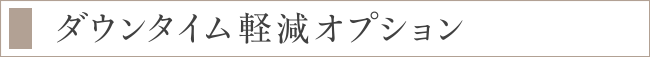 ダウンタイム軽減オプション