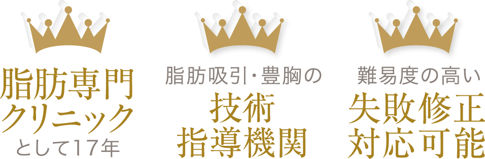 脂肪専門クリニックとして17年／脂肪吸引・豊胸の技術指導機関／難易度の高い失敗修正対応可能