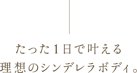 たった1日で叶える 理想のシンデレラボディ。
