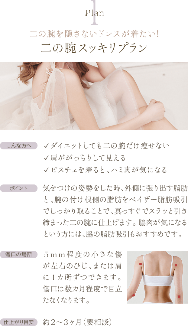 Plan1 二の腕を隠さないドレスが着たい! 二の腕スッキリプラン | こんな方へ: ✓ ダイエットしても二の腕だけ痩せない／✓ 肩ががっちりして見える／✓ ビスチェを着ると、ハミ肉が気になる / ポイント: 気をつけの姿勢をした時、外側に張り出す脂肪と、腕の付け根側の脂肪をベイザー脂肪吸引でしっかり取ることで、真っすぐでスラッと引き締まった二の腕に仕上げます。 脇肉が気になるという方には、脇の脂肪吸引もおすすめです。 / 傷口の場所: ５mm程度の小さな傷が左右のひじ、または肩に１カ所ずつできます。 傷口は数カ月程度で目立たなくなります。 / 仕上がり目安: 約２〜３ヶ月（要相談）
