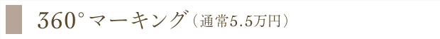 360°マーキング（通常5.5万円）