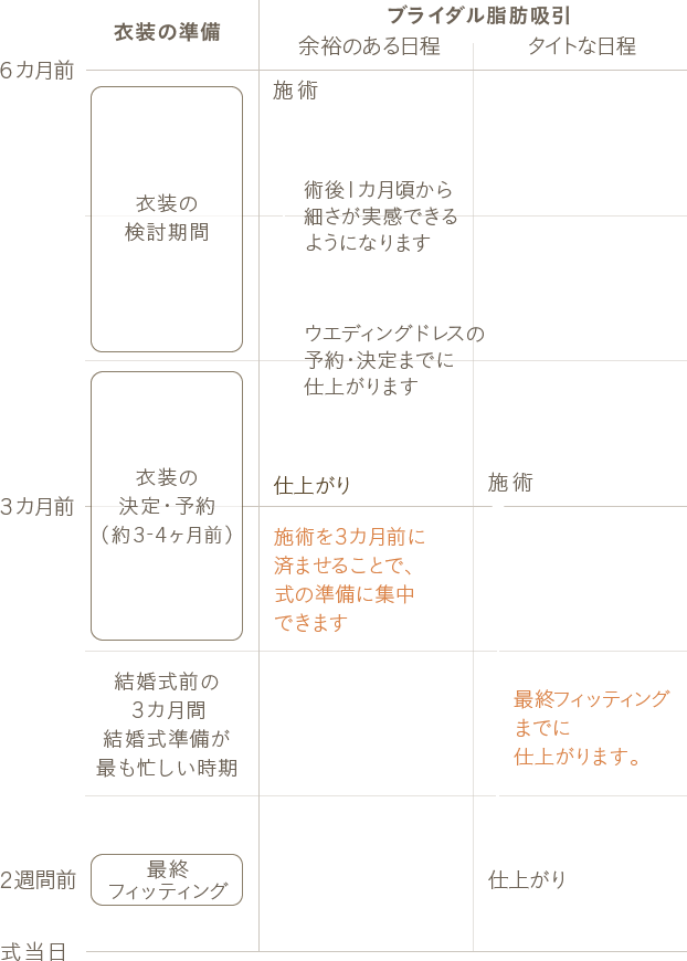 ブライダル脂肪吸引のスケジュール