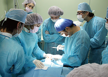 2013年4月16日、3Dセルリフト&ハンズオンセミナーが開催されました